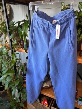 Sundry Periwinkle Sweatpants NWT | XS